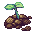 Soil Soil